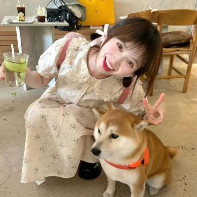 不和谐