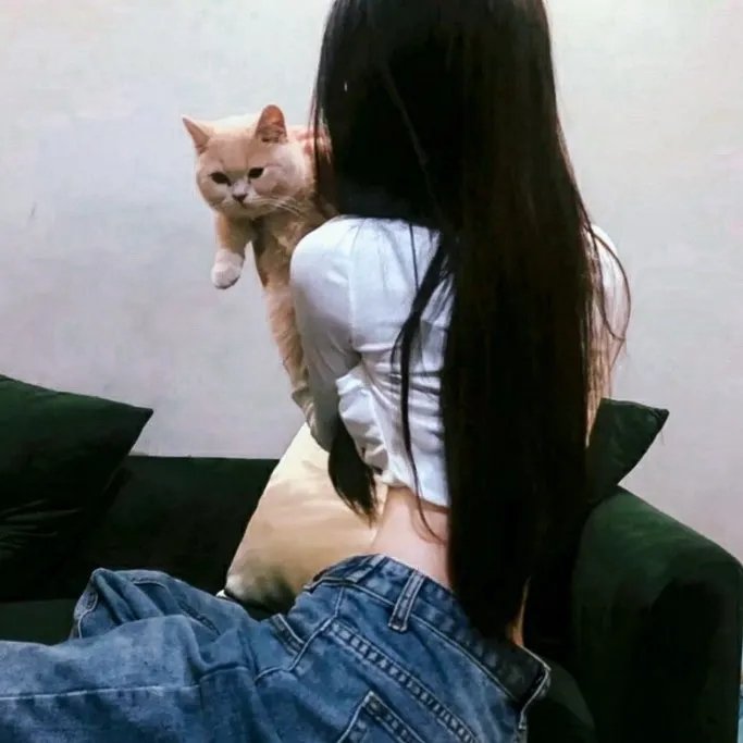 犹在镜中